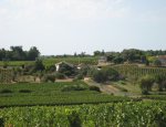 CHATEAU DE COTS - EARL DES VIGNOBLES BERGON Bayon-sur-Gironde