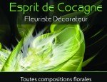 ESPRIT DE COCAGNE 81500