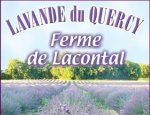 FERME DE LACONTAL 82190