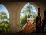 Photo DOMAINE DE TAVERNEL