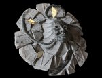 Photo LITHOSPHÈRE DESFORGE - CABUSA