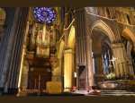 SOCIETE DES AMIS DE LA CATHEDRALE DE REIMS 51100
