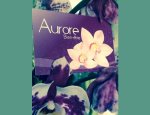 AURORE BIEN ETRE 83140