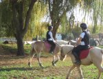Photo CENTRE EQUESTRE LE PILON/ASSOCIATION DES CAVALIERS MANOSQUINS