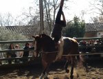 Photo CENTRE EQUESTRE LE PILON/ASSOCIATION DES CAVALIERS MANOSQUINS