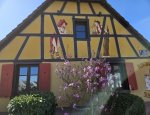 Photo AUBERGE DE SUNDHOFFEN HEITER CHARLES