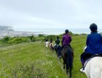 MERS LES BAINS EQUITATION EARL Mers-les-Bains