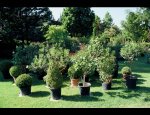 JARDINERIE F ANTONIN 84220