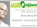 ALIZE COIFFURE 31700