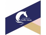 CENTRE EQUESTRE DES VIEILLES VENTES Sorel-Moussel