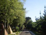 Photo CAMPING LA BEAUMETTE