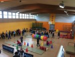 COMITE DEPARTEMENTAL SPORT ADAPTE HAUTE-GARONNE 31670