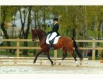 JOUBERT BEATRICE - GYMNASTIQUE DRESSAGE 34130