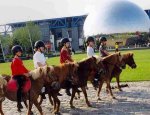 Photo PONEY CLUB ET CENTRE EQUESTRE DE LA VILLETTE