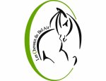 Photo LES CHEVAUX DU BEL AIR