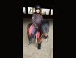 Photo PLAISIRS EQUESTRES - PONYS'UP