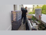 DOLYDEM DEMANAGEMENTS ET SERVICES Alfortville