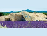 Photo DEMEURES PROVENCALES