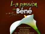 LA PASSION DE BENE 62137