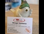 MENAGER ASSISTANCE PRO&CIE Pontarlier
