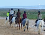 CENTRE EQUESTRE HARAS DES EVIERES Le Bois-Plage-en-Ré