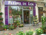 FLEURS DE LEA 83400