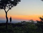 Photo CAMPING LES TERRASSES PROVENCALES