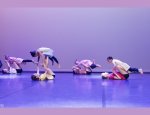 Photo SAINT CYR L'ECOLE DANSE