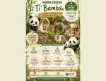 TI'BAMBOU 84700