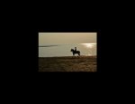 CENTRE EQUESTRE DE L'HERBAUDIERE Noirmoutier-en-l'Île