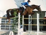 ECOLE EQUESTRE SCHEIDSTEIN 67400