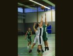 Photo FL BASKET CHAMBON