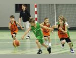 Photo FL BASKET CHAMBON