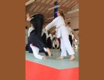 ACADEMIE D'AIKIDO DES TROIS PINS Fuveau