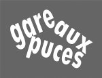 Photo GARE AUX PUCES