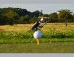 Photo GOLF DE FLEURAY-AMBOISE