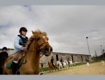 Photo PARC D'EQUITATION DU CHATEAU BLEU