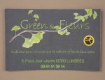 GREEN & FLEURS 62380