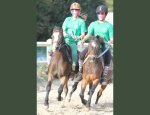 PONEY CLUB SAINT GERMAIN FOURQUEUX 78112