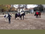 UDSIS EQUESTRE Saint-Cyprien