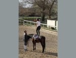 Photo UDSIS EQUESTRE