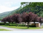 Photo CAMPING LE PYRENEEN