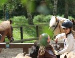 USCB EQUITATION Bois-Guillaume