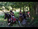 Photo HARAS DE LA SALMONIERE (CENTRE EQUESTRE-ÉLEVAGE)