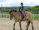 HARAS DE LA SALMONIERE (CENTRE EQUESTRE-ÉLEVAGE) Le Fuilet
