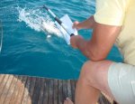CARNON FISHING CLUB Mauguio