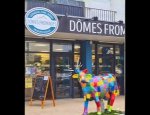 DOMES FROMAGES 63800