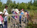 Photo CENTRE EDUCATION NATURE DE HOUTLAND