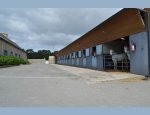 CENTRE EQUESTRE LANN ER ROCH Ploemeur