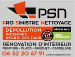 PSN RENOVATION PRO SINISTRE NETTOYAGE 04870